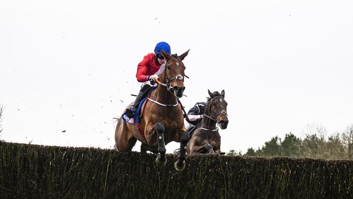 Betfair's 2021 Cheltenham Offer: Everything you need to know to get up to £50 in free bets